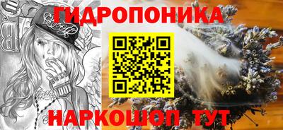 стаф Обнинск