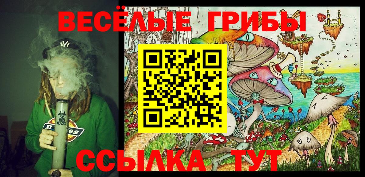 Псилоцибиновые грибы GOLDEN TEACHER  Вход с VPN  закладка  Северск 